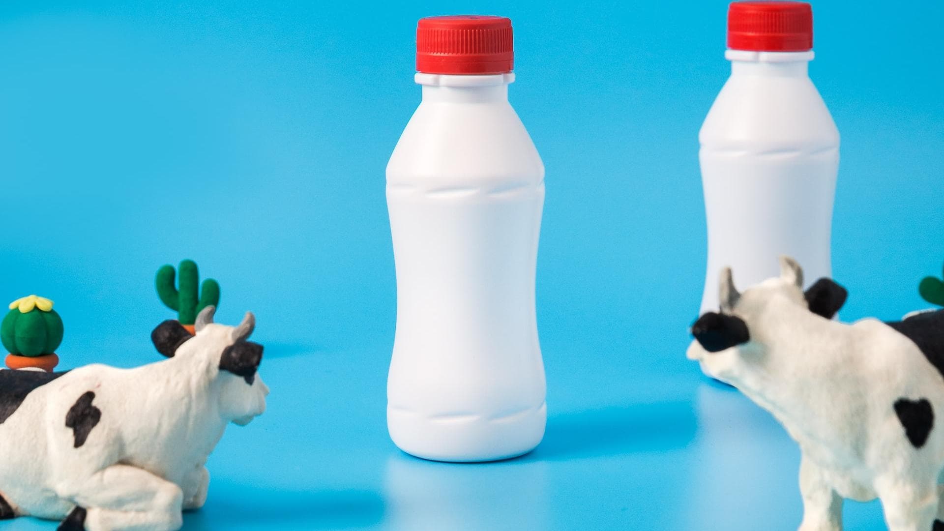 Milch