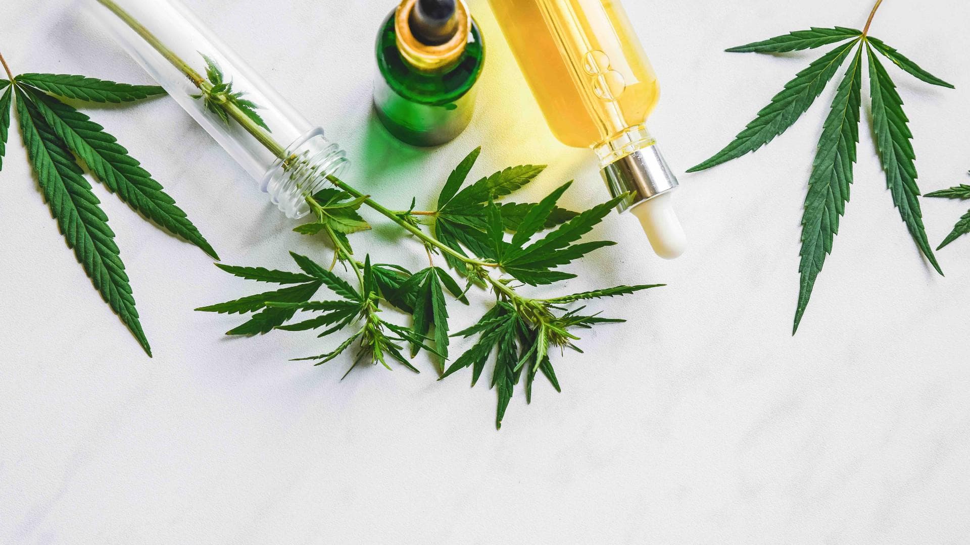 CBD Öl CBD Öl