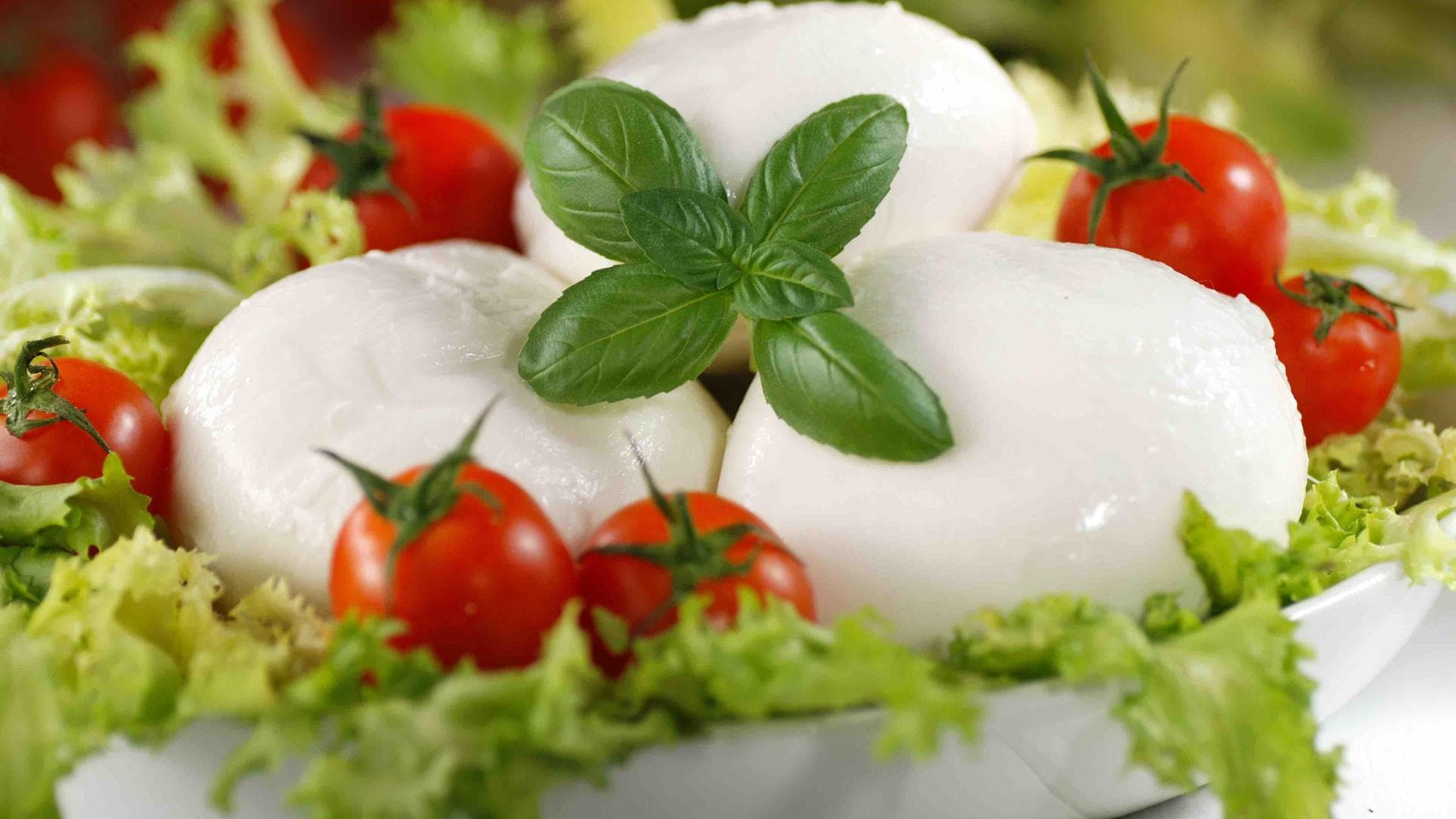 Mozzarella Mozzarella