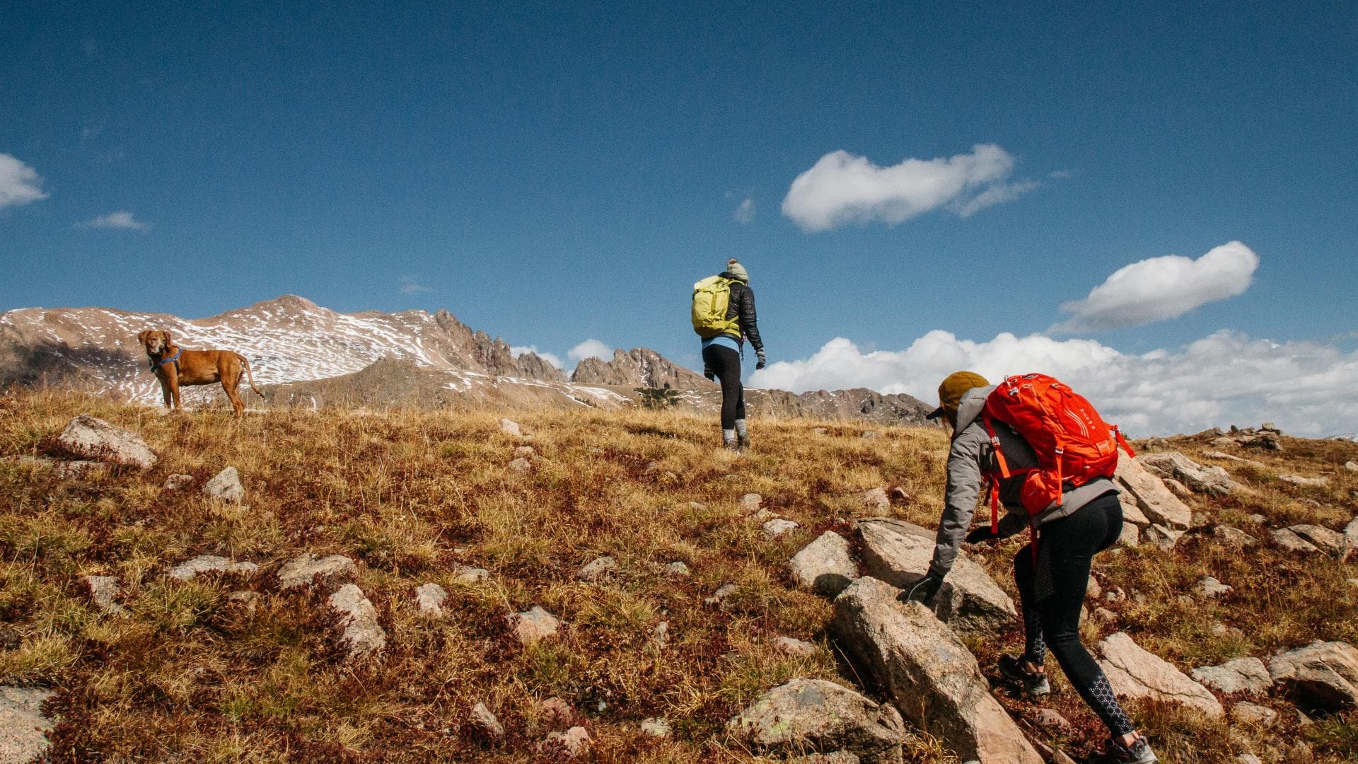Menschen wandern