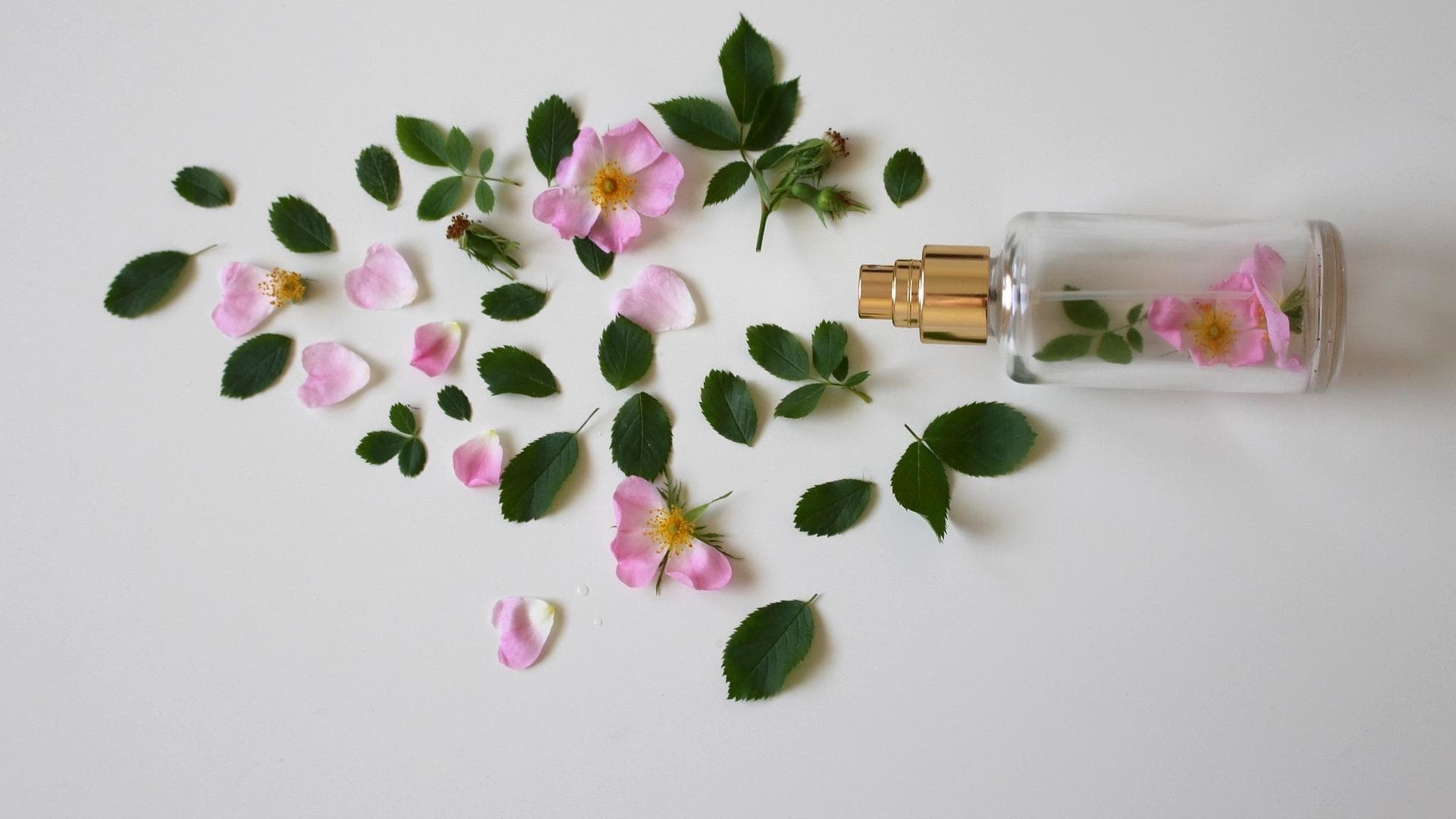 Parfum