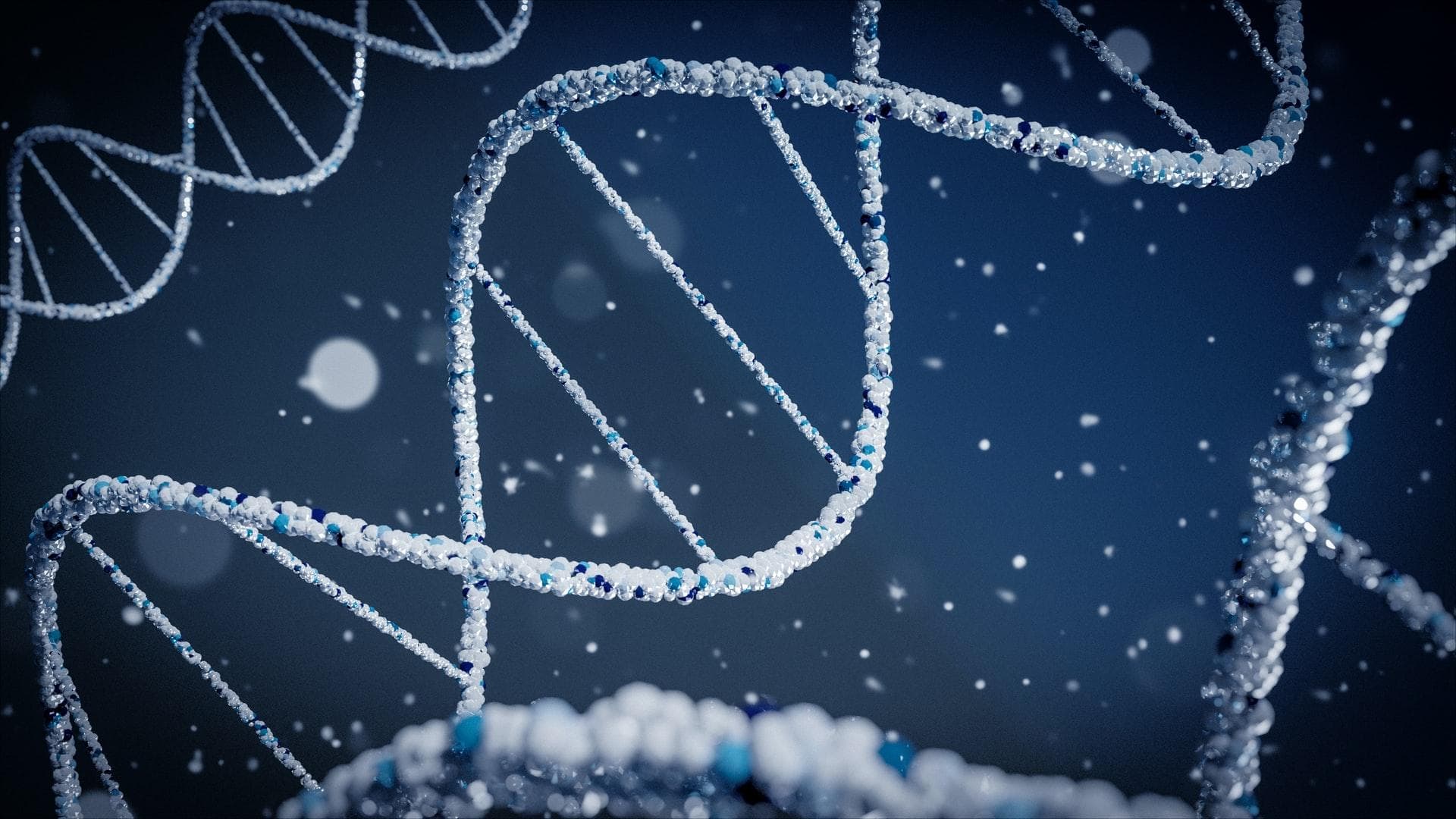 DNA-Doppelhelix