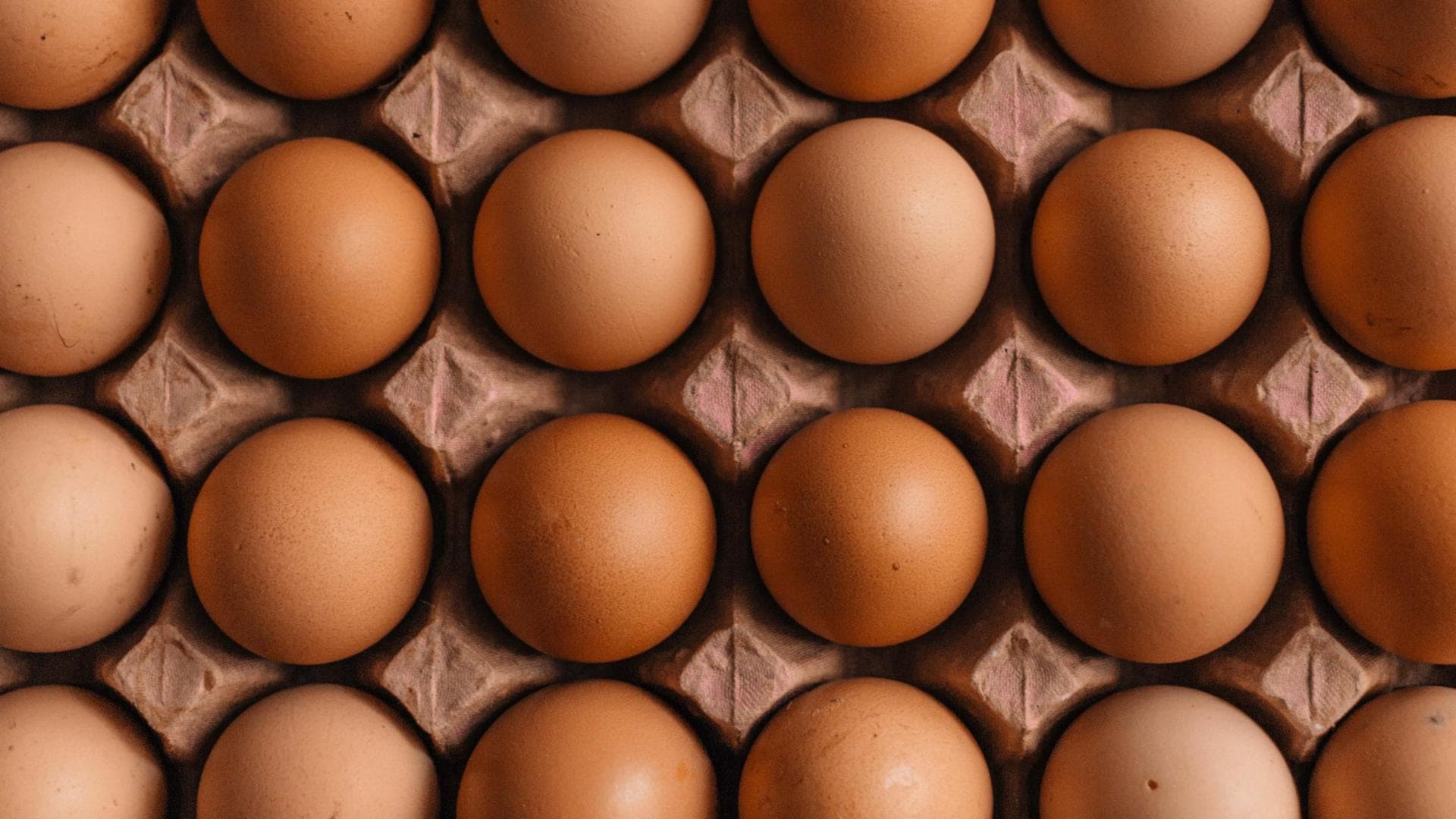 Eier