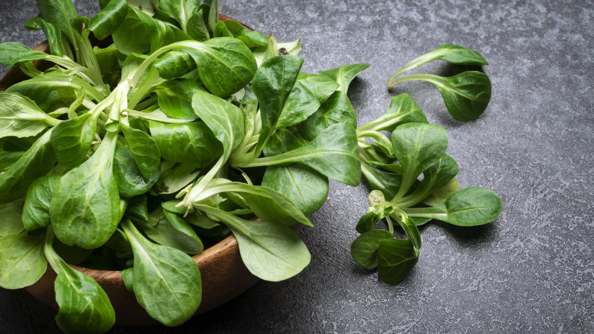 Feldsalat wird in Zuckerwasser wieder frisch. Feldsalat