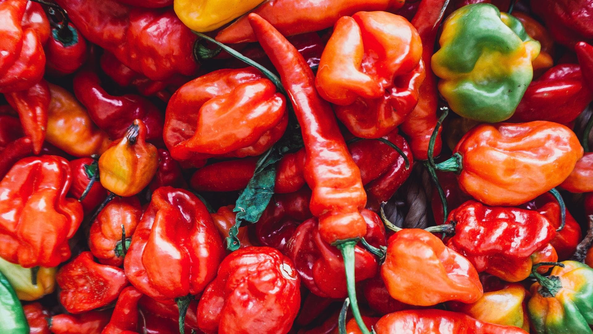 verschiedene Arten Chili auf einem Haufen