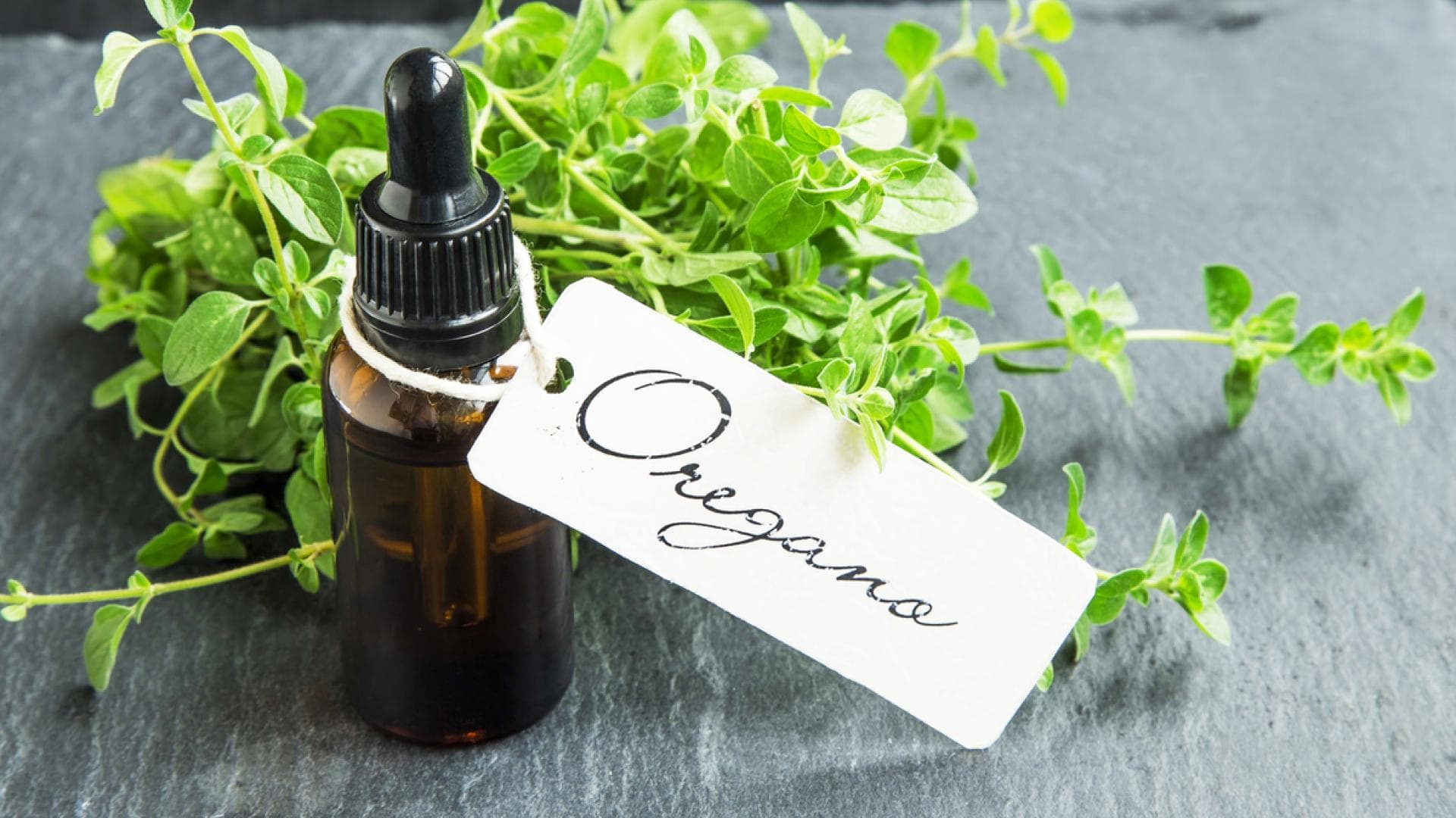 Fläschen mit Oregano-Öl und Beschriftung vor frischem Oregano