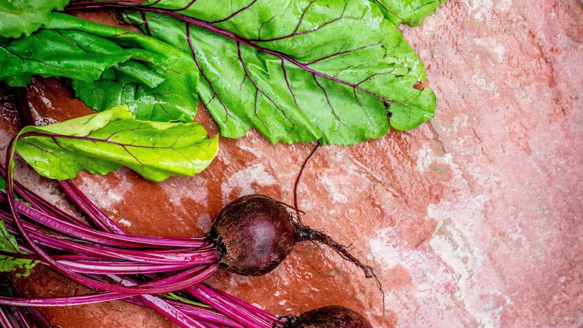 Rote Beete mit Blättern frische Rote Beete auf Tisch