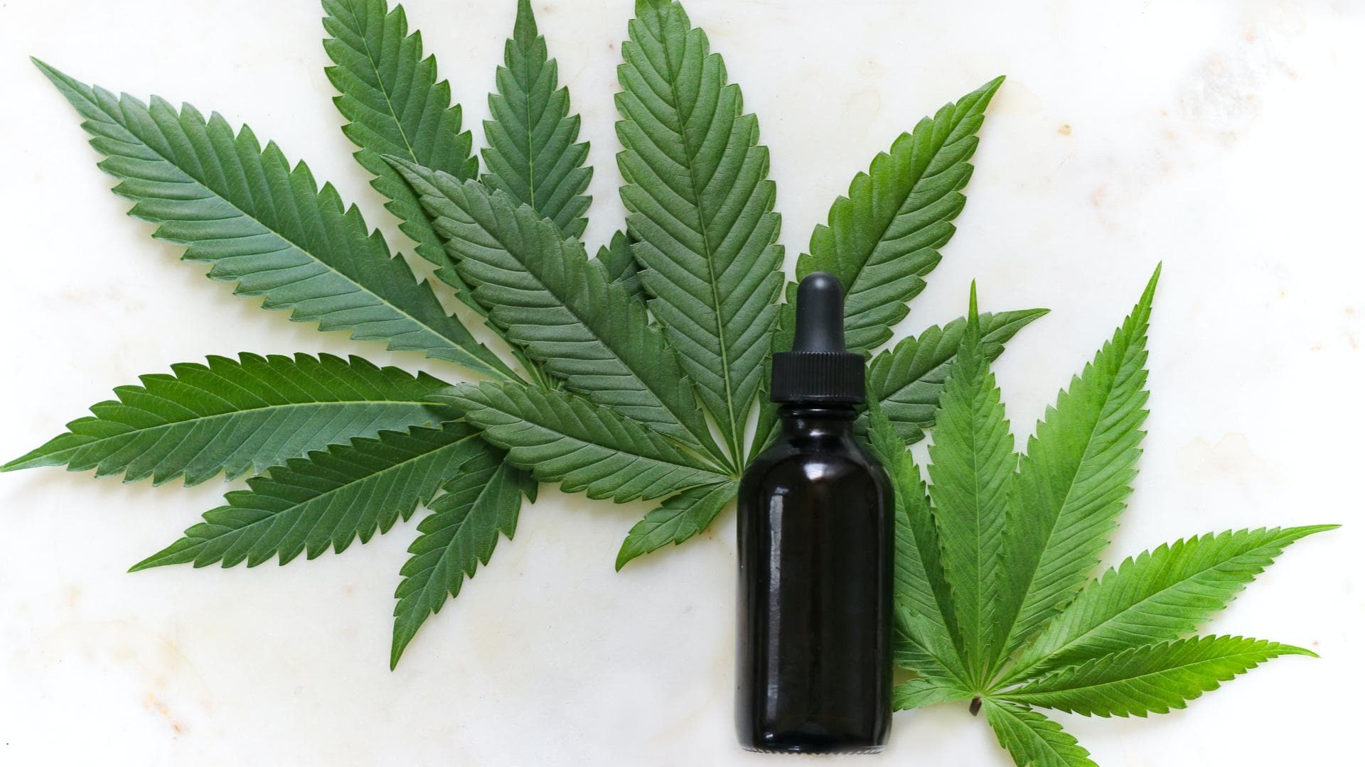 CBD-Öl Cannabis-Öl mit Blättern