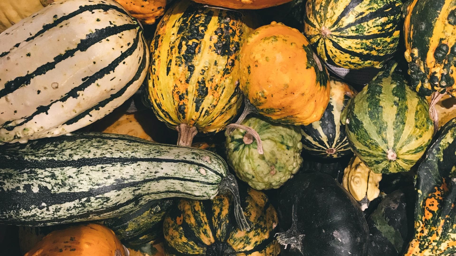 Gelbe Kürbisse sind gesund verschiedene gelbe und grüne Kürbisse