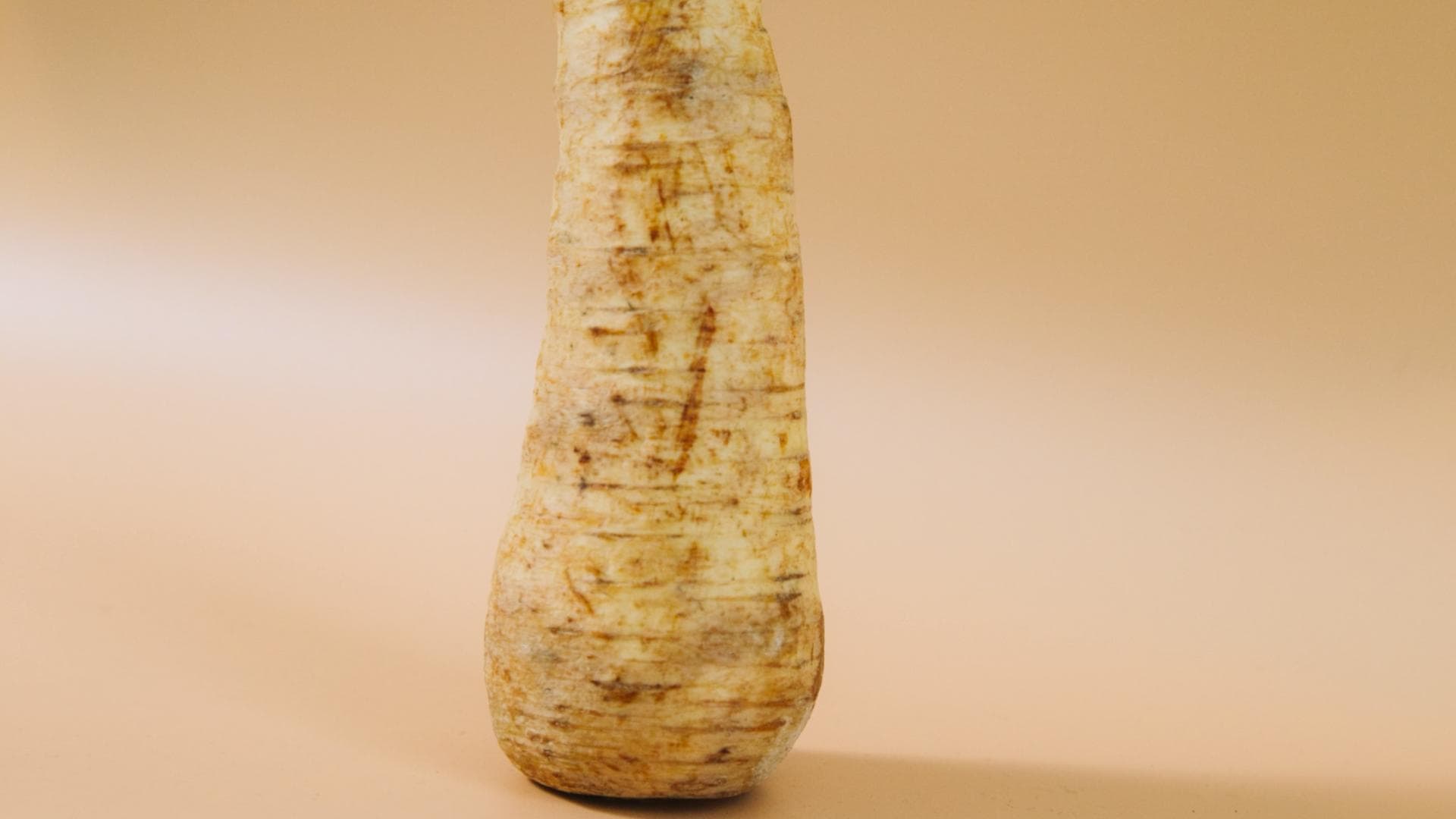 gelb-braune Pastinake Pastinake vor braunem Hintergund