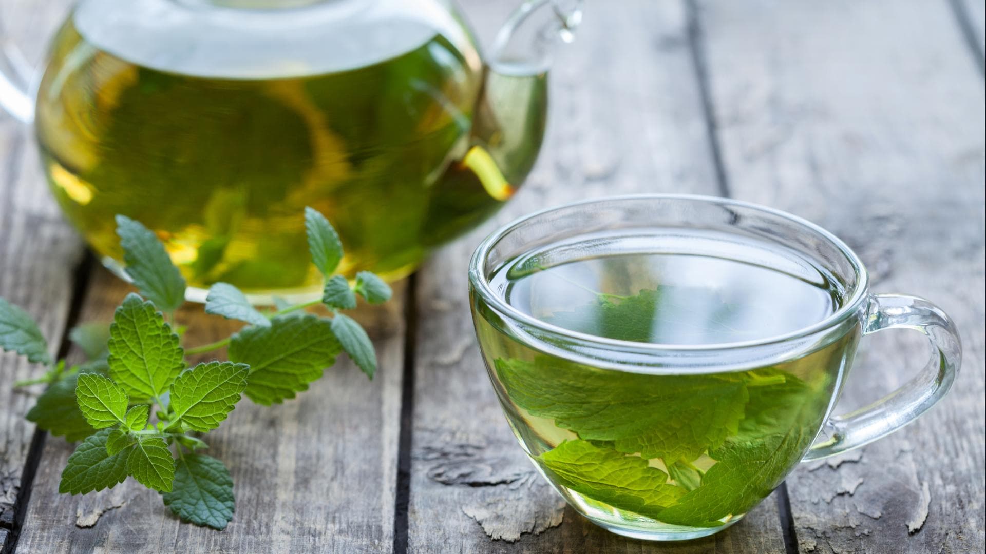 Grüner Tee ist ein echter Klassiker unter den natürlichen Fatburnern. Grüner Tee ist ein echter Klassiker unter den natürlichen Fatburnern.