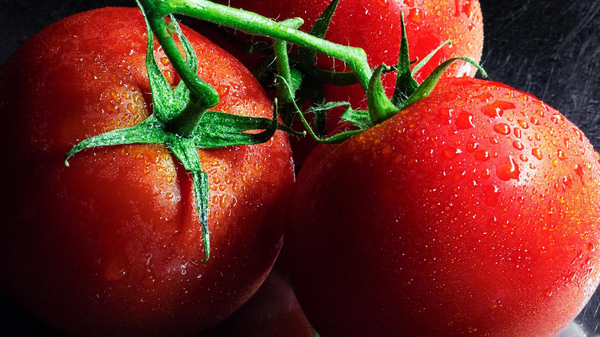 Tomaten stärken das Immunsystem frische Tomaten