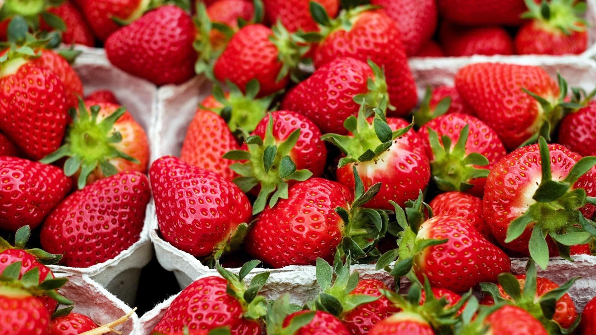 Erdbeeren in Schalen