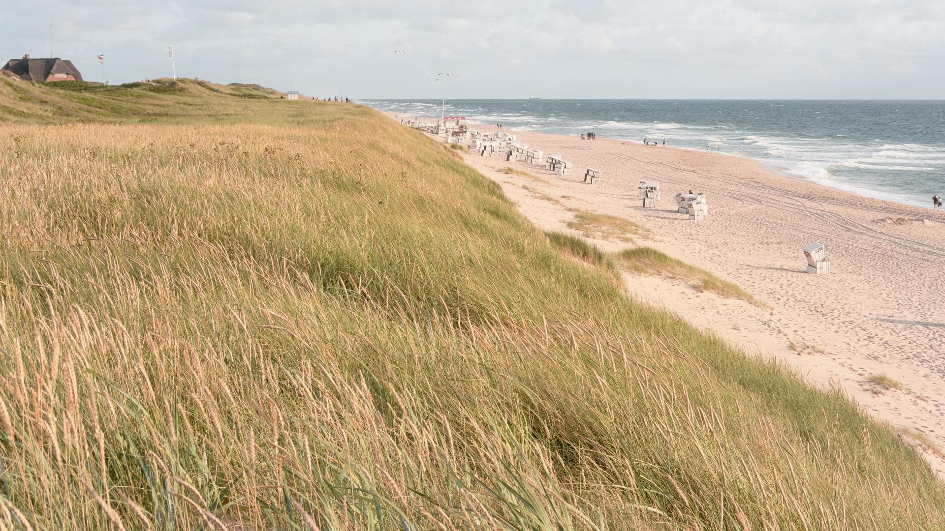 Strand auf Sylt