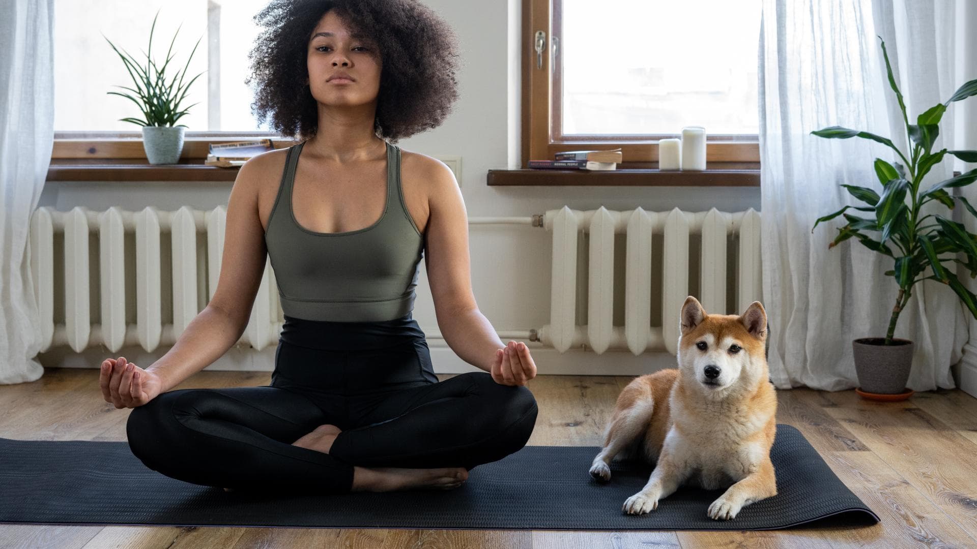 Yoga mit Hund Yoga mit Hund