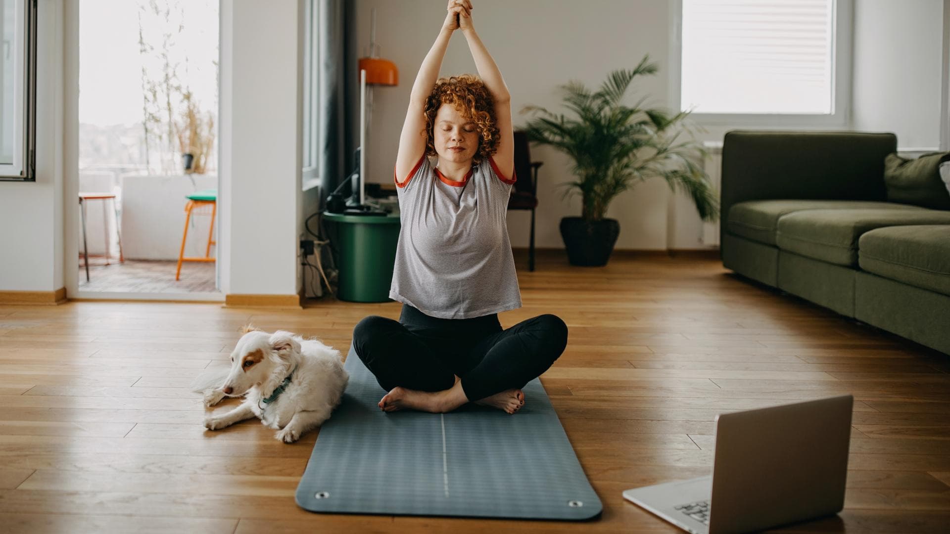 Yoga mit Hund