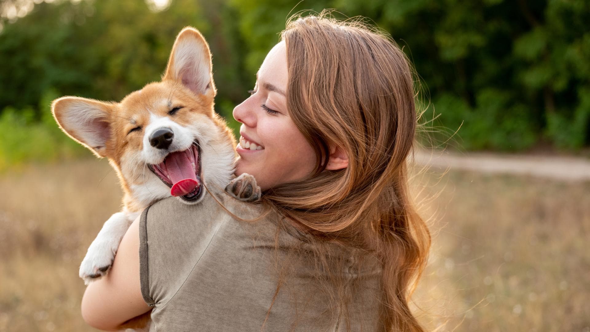 Hunde Liebe