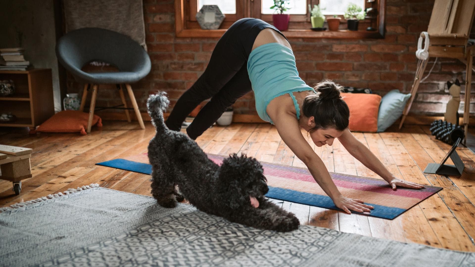 Yoga mit Hund