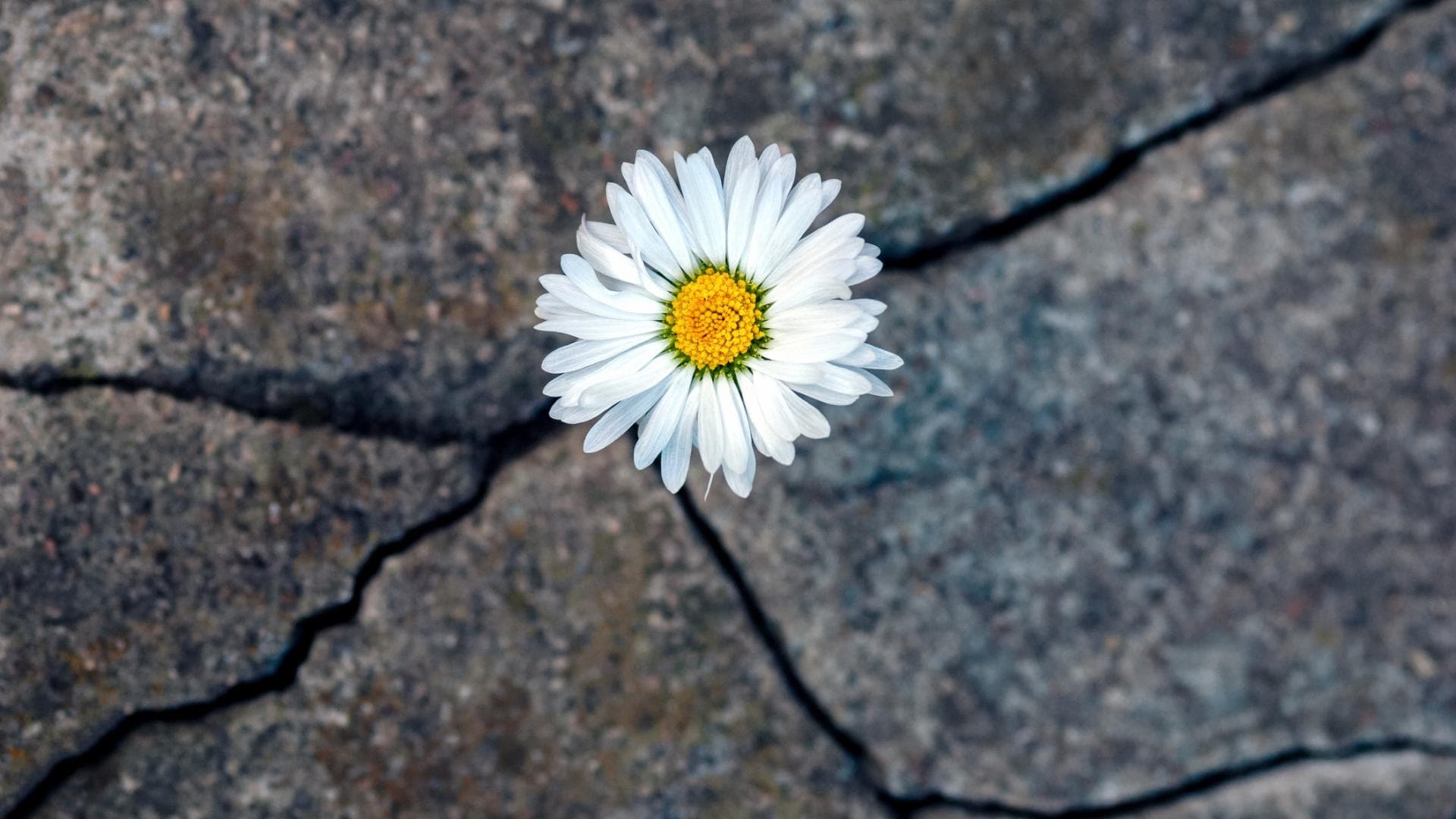Resilienz stärken