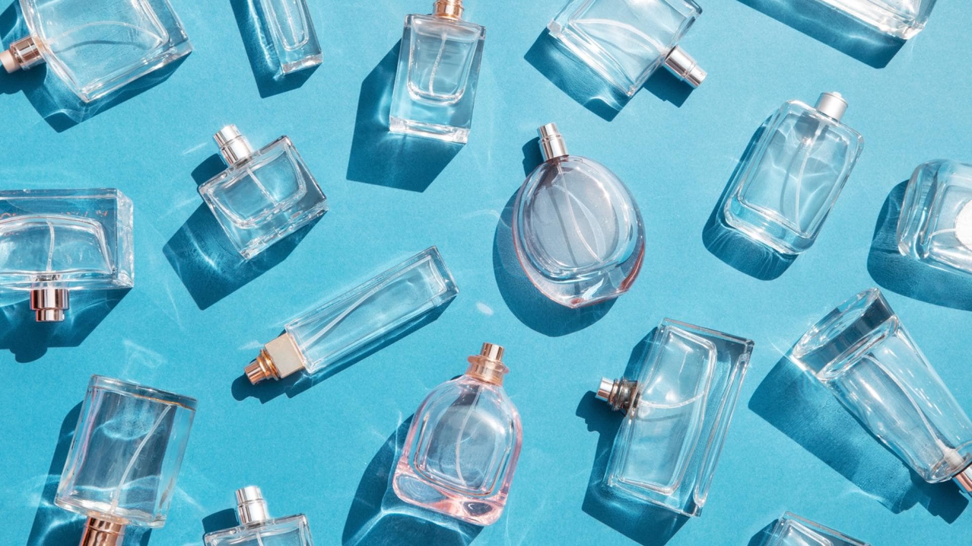 klare, reine Parfums in Flakons auf blauem Untergrund