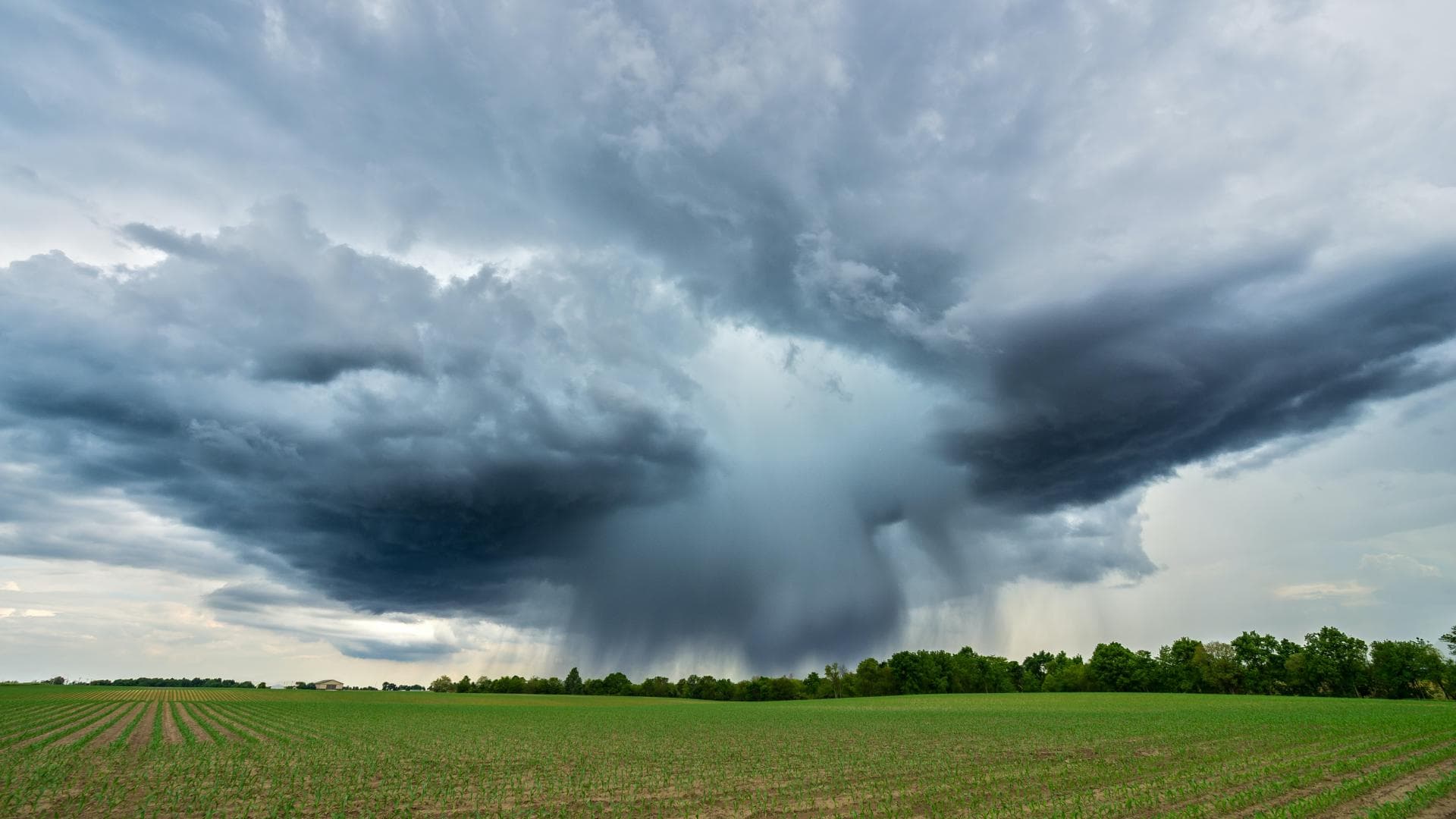 Wetterfühligkeit ist eine Überempfindlichkeit gegenüber Wetterlagen und Wetterphänomenen.