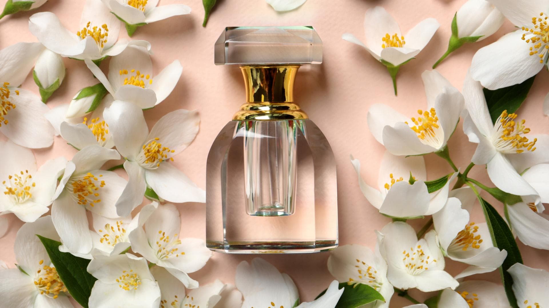 Chypre-Düfte sind besonders ausdrucksstark Flakon auf Bett aus Jasminblüten