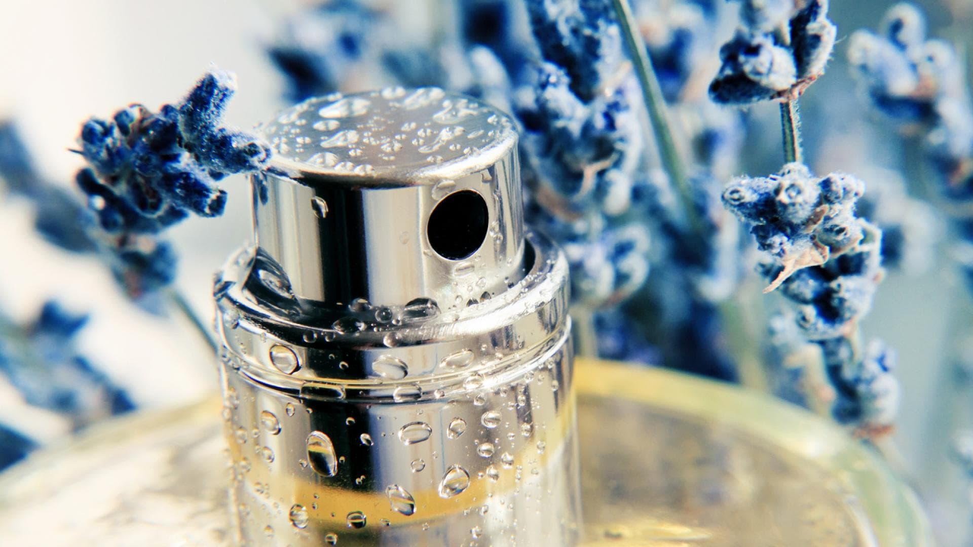 Lavendelnote im Parfum Nahaufnahme Parfumflakon mit blauem Lavendel