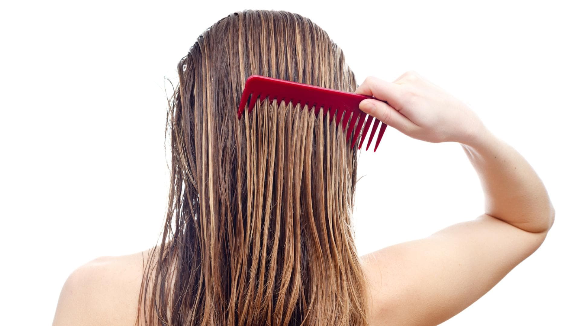 Nasse Haare Kamm