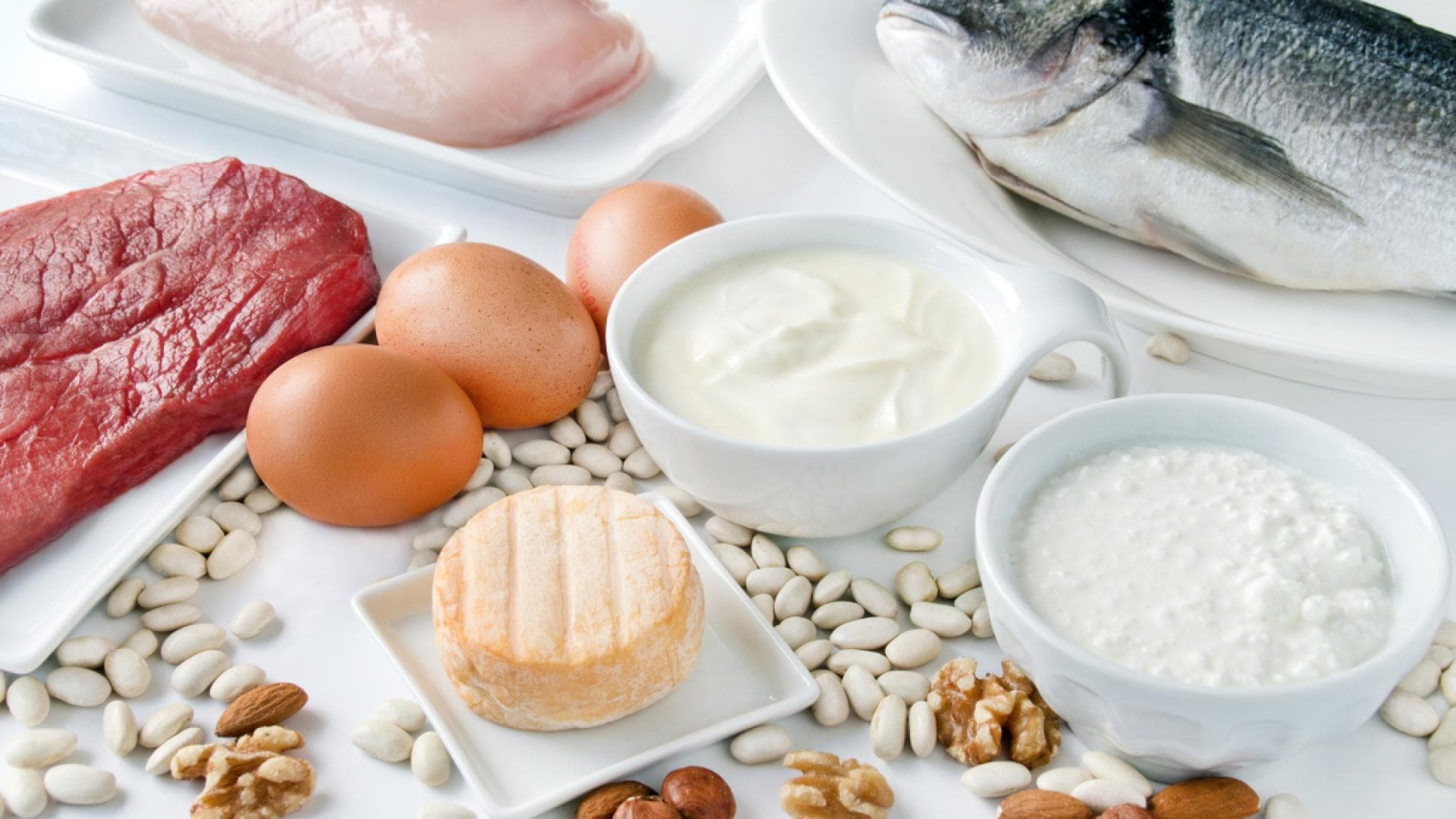 Proteinreiche Lebensmittel
