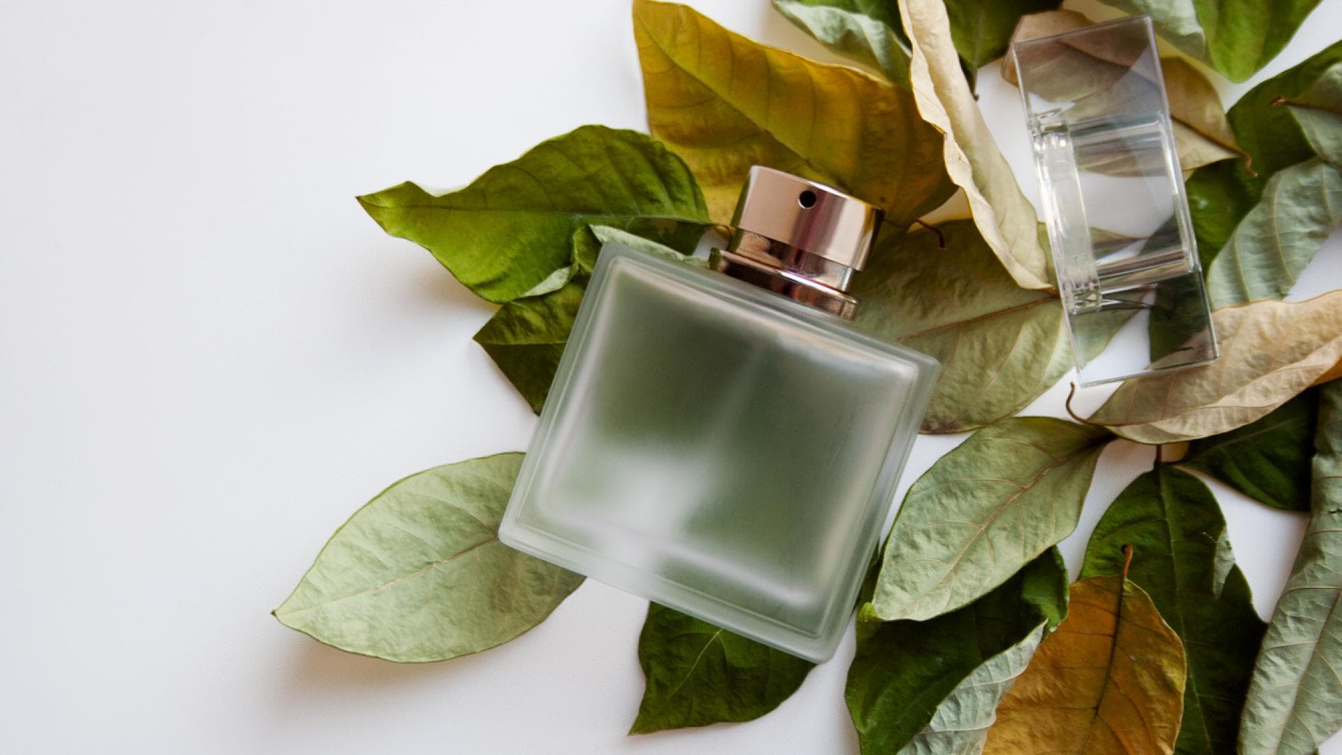 Grüne Parfums riechen frisch und natürlich Parfumflakon vor weißem Huntergrund und grünen Blättern