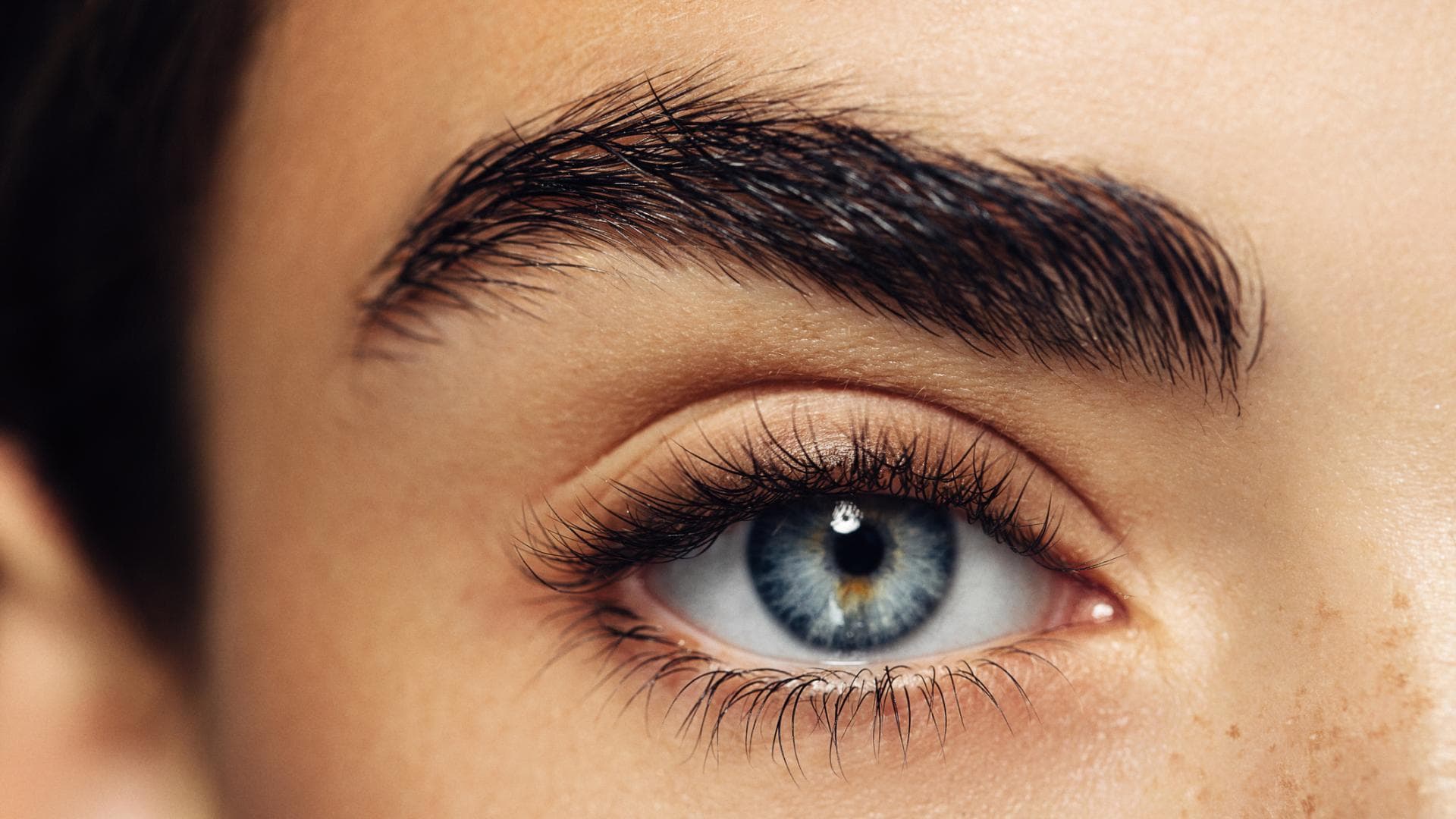 Augenbraue und Auge