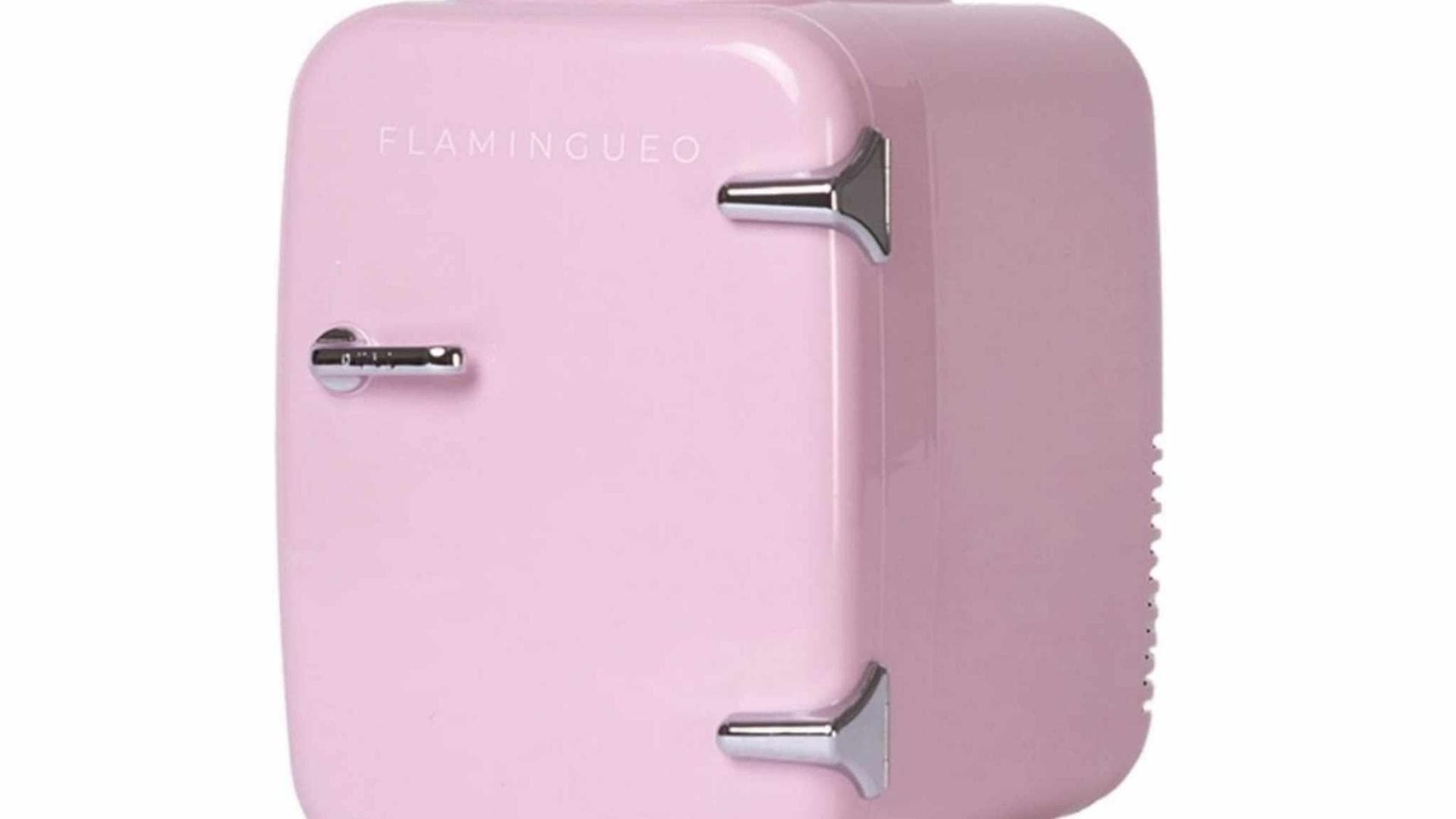 Flamingueo Kühlschrank Klein