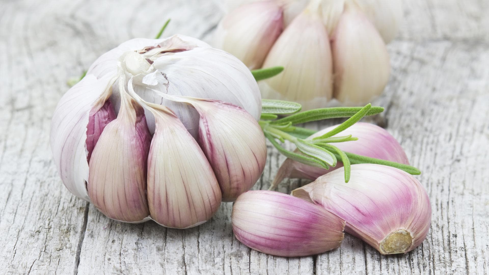 Knoblauch