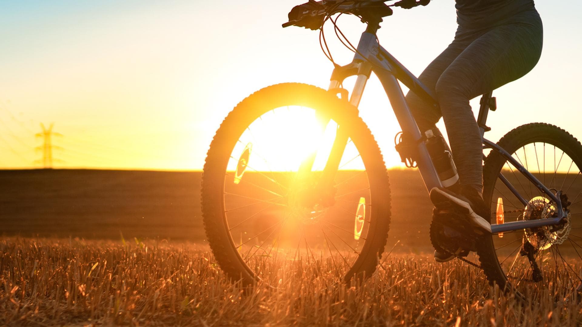 Frau fährt in der Abendsonne auf dem Fahrrad