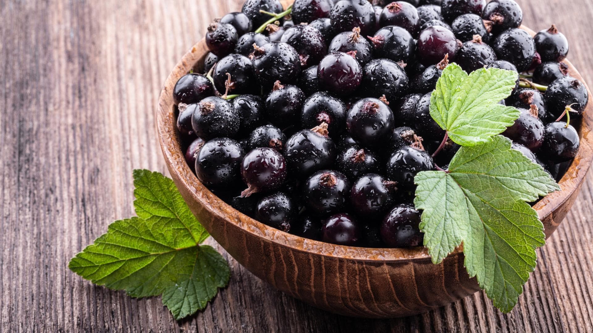 Eine Schale mit schwarzen Johannisbeeren
