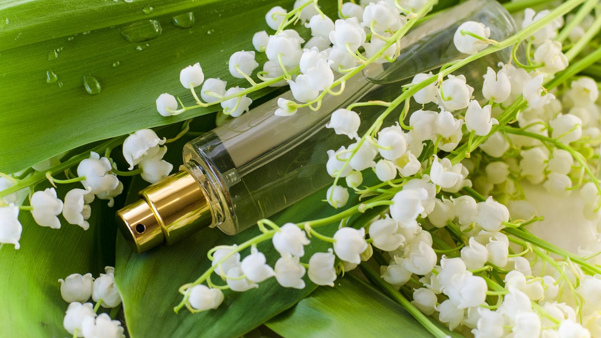 Parfum mit Maiglöckchen