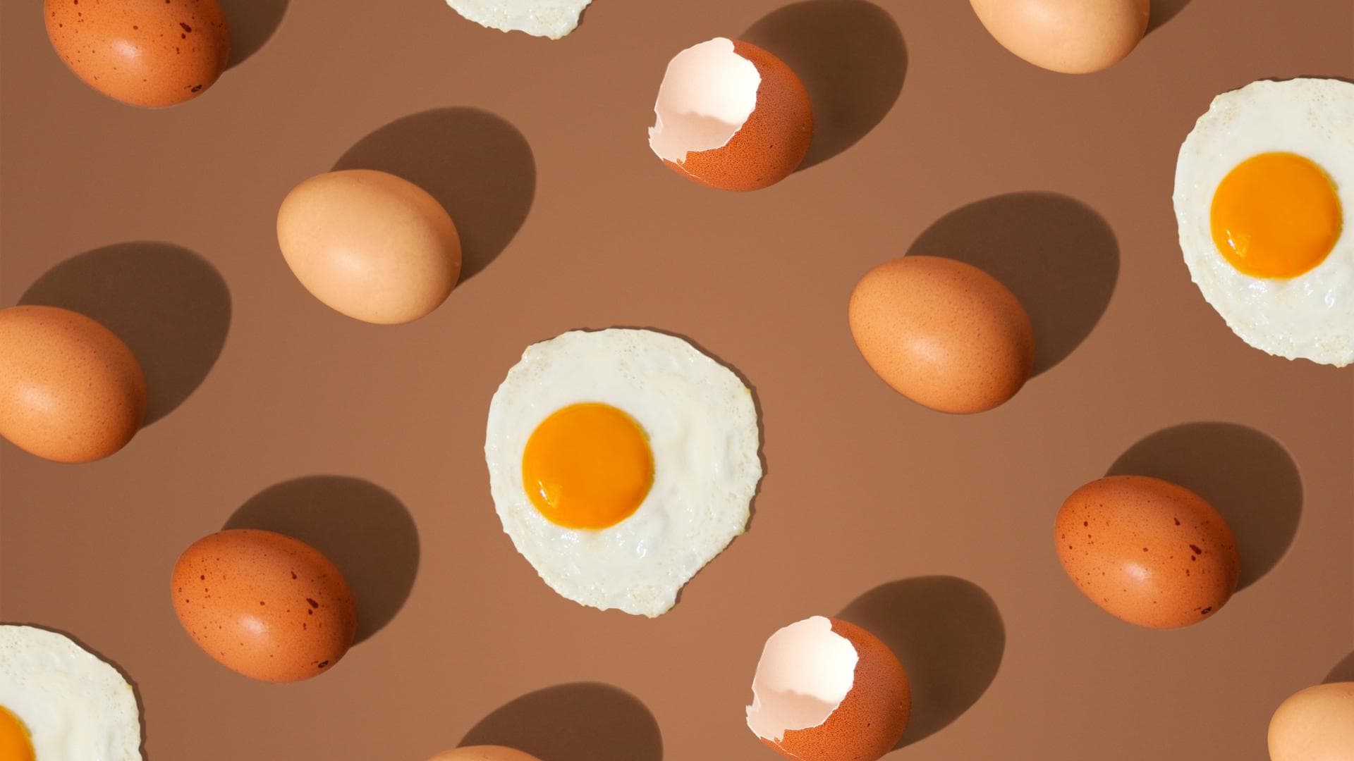 Eier
