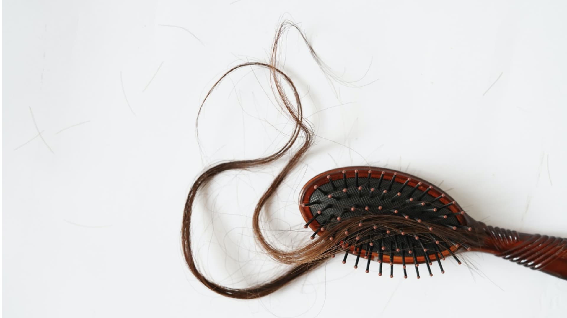 Haare Bürste Haare Bürste