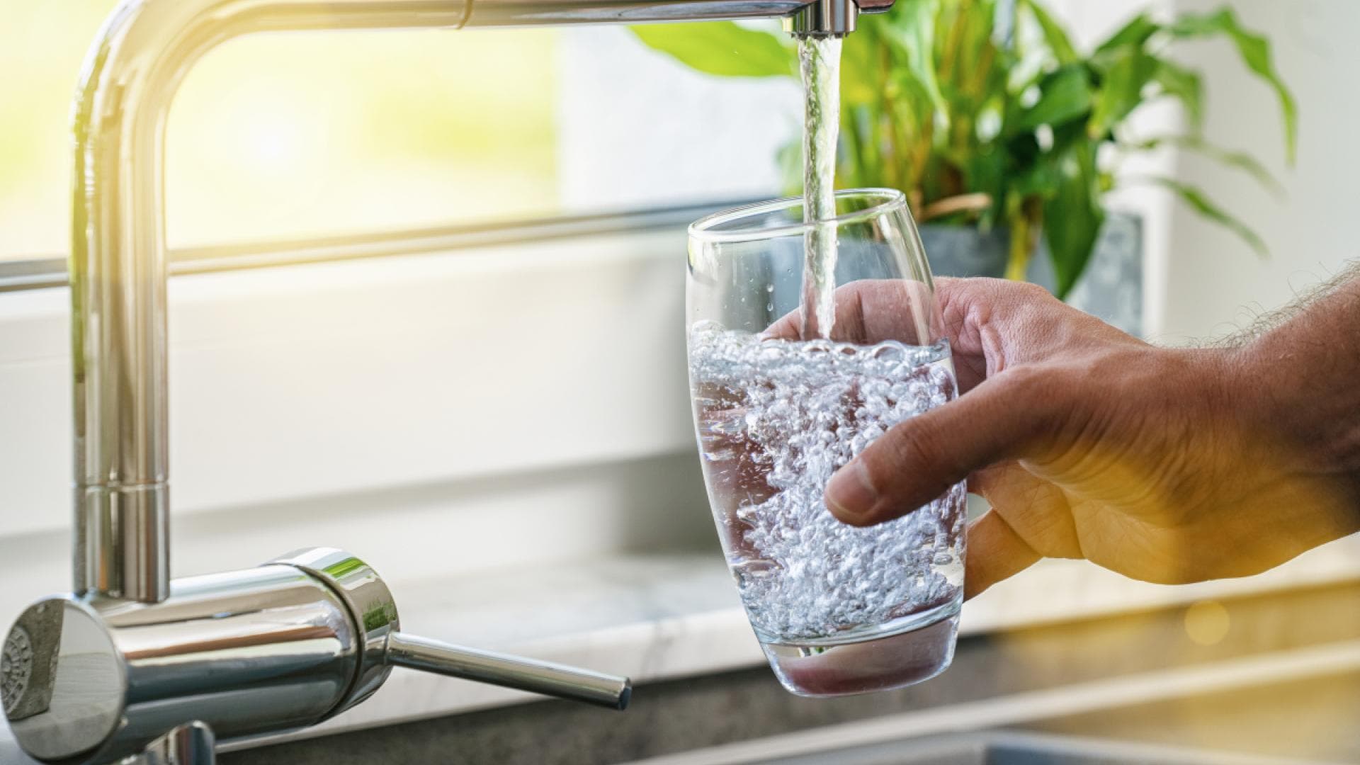 Halogenessigsäuren sind krebserregende Substanzen, die als Nebenprodukt bei der Desinfektion von Trinkwasser entstehen können.