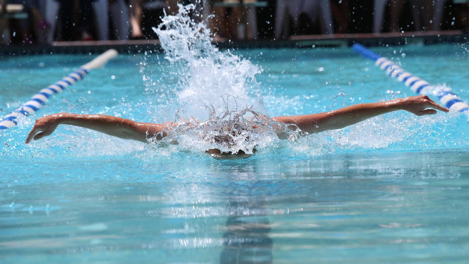 Schwimmer
