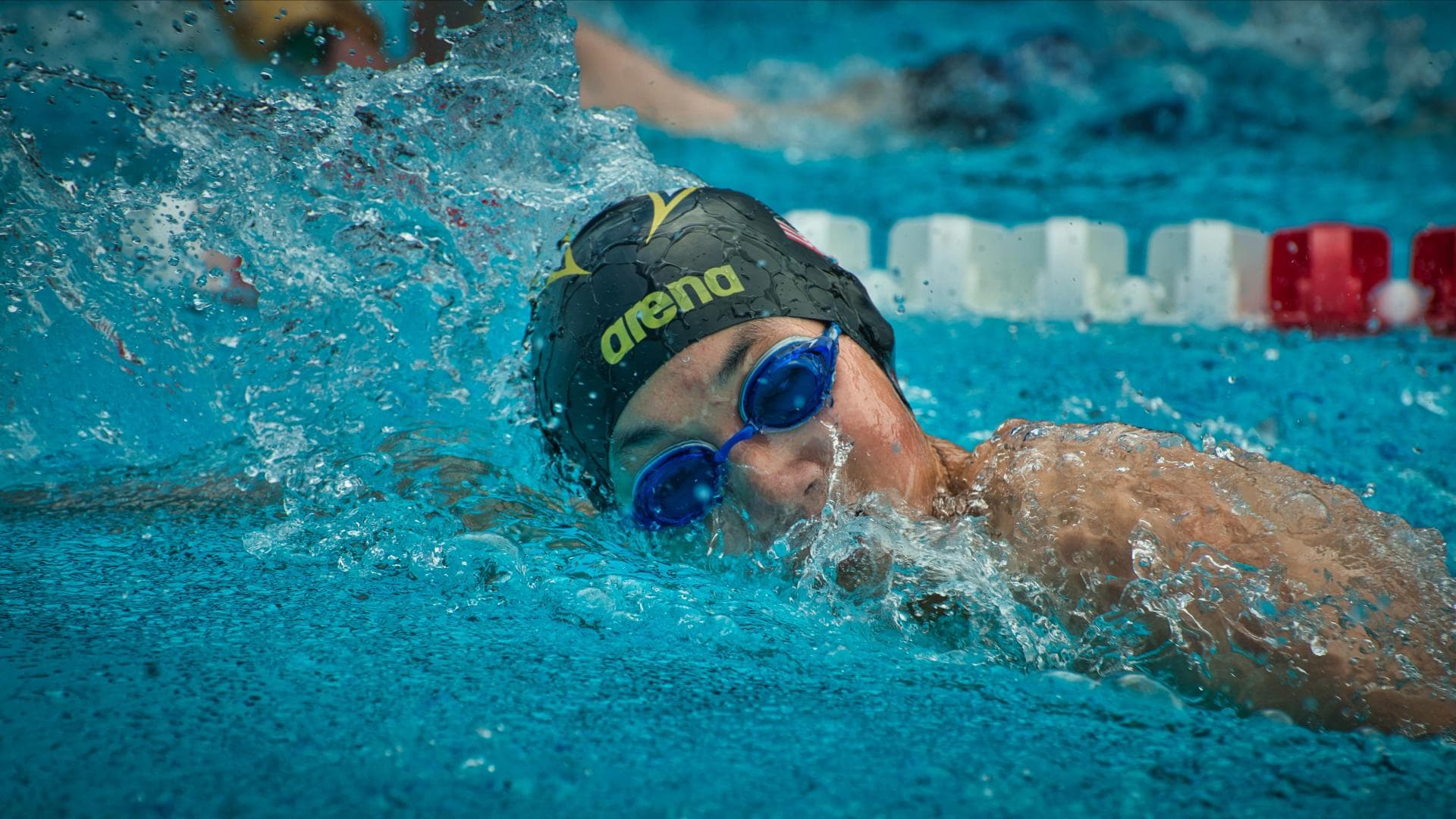 Schwimmer kraulen