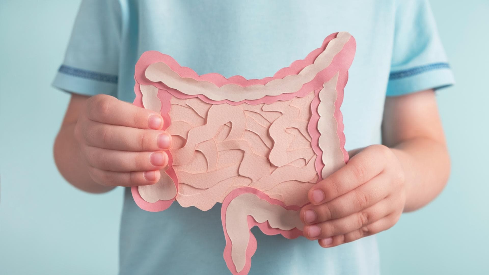 Mann hält Darmmodell aus Papier vor Bauch