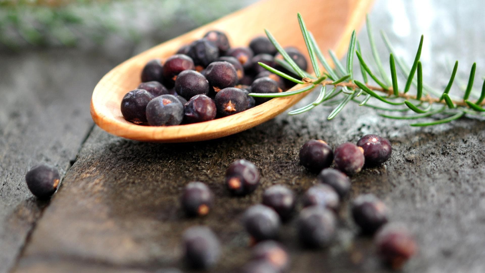 Wacholderbeeren auf einem Löffel