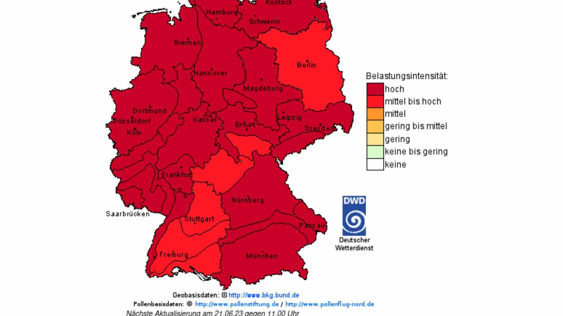 Höchste Warnstufe in vielen Teilen Deutschlands Pollenflug Index für Gräser