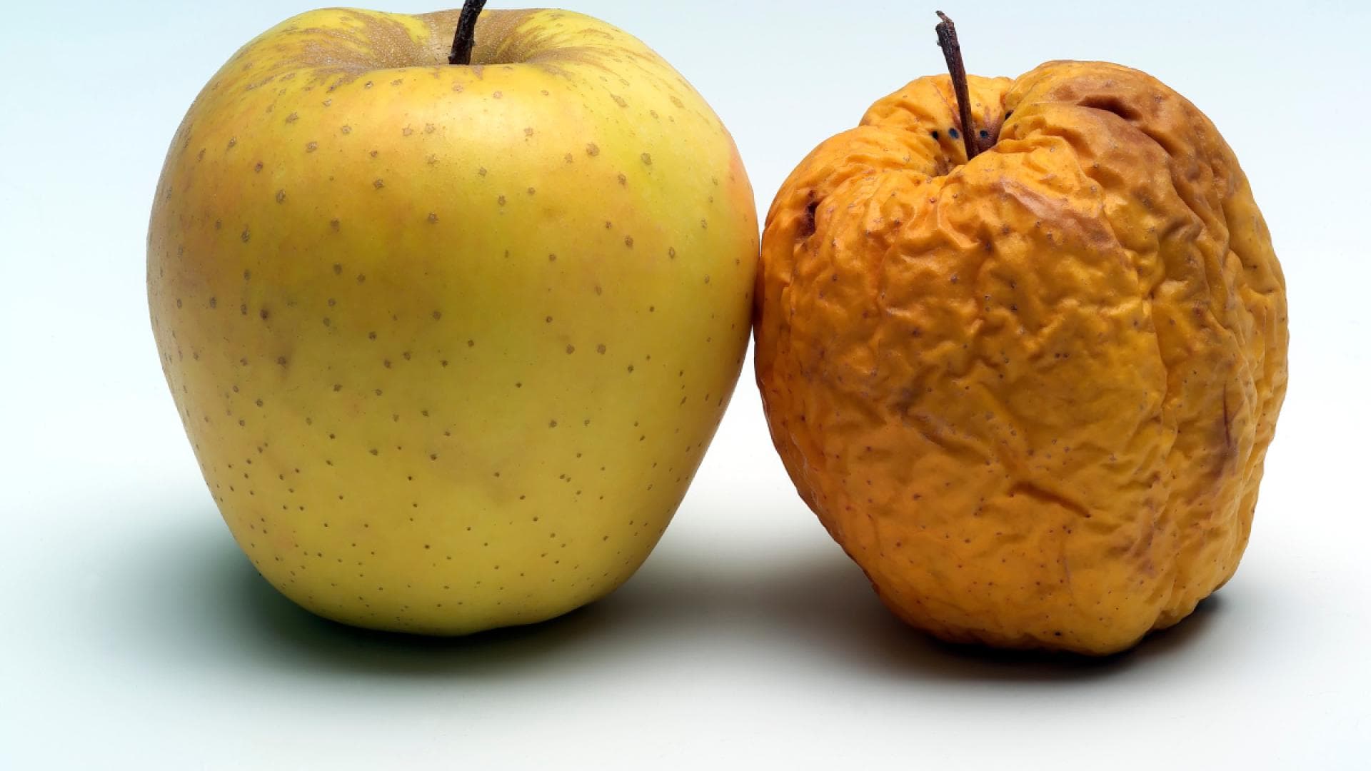 frischer und alter Apfel nebeneinander