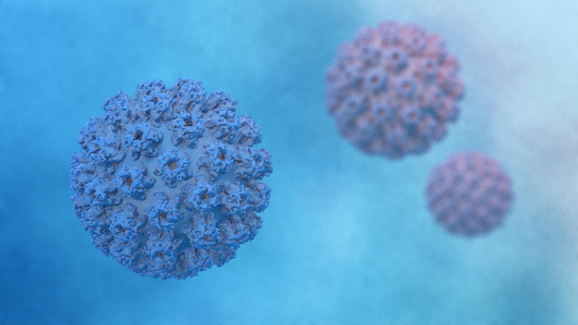 Humaner Papillomvirus