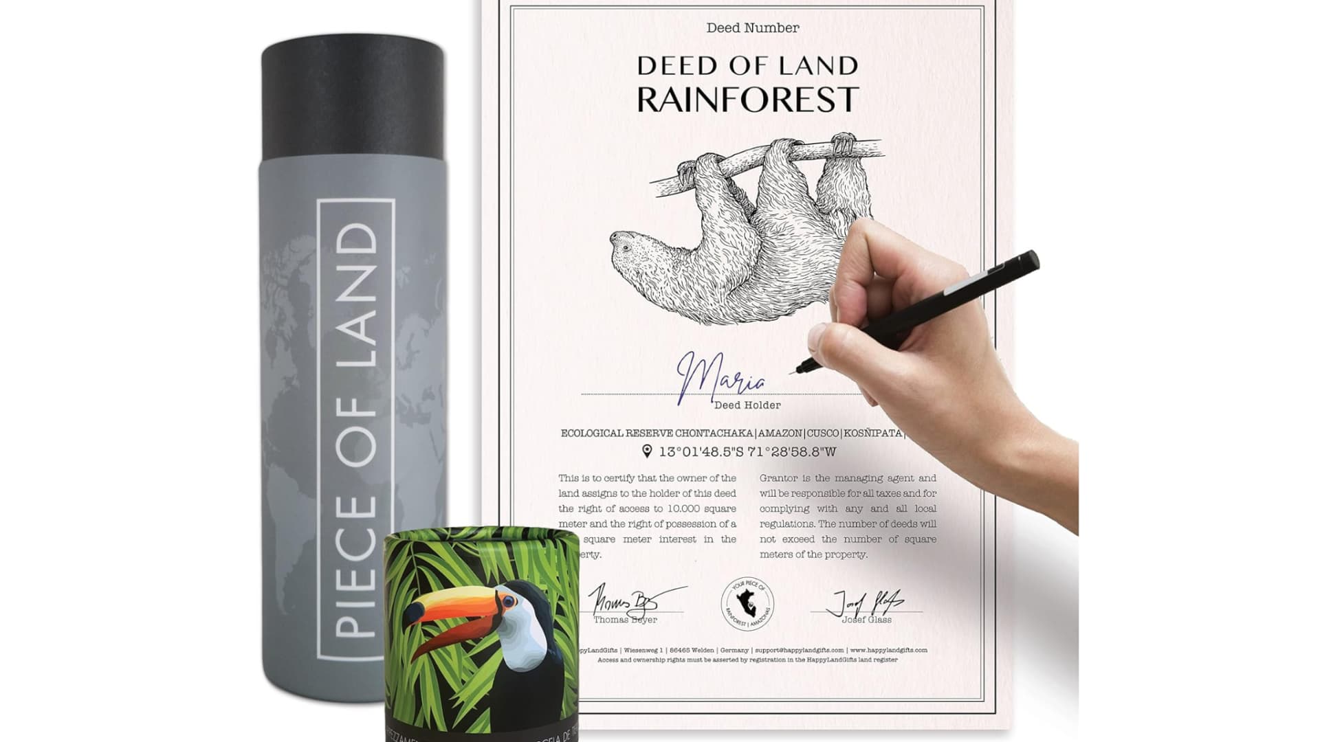 Geschenk Regenwald