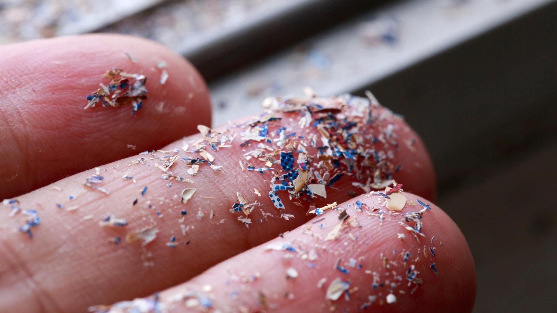 Kleine Plastikteilchen auf Fingerspitzen