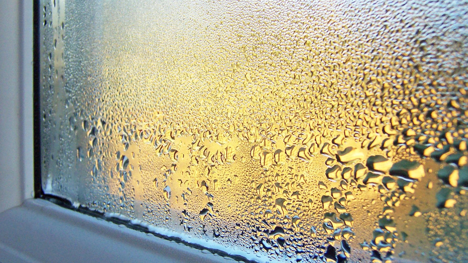 Kondenswasser am Fenster