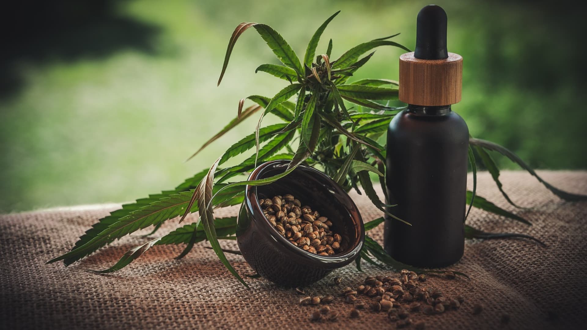 CBD und Nahrungsergänzungsmittel liegen im Trend. CBD-Öl